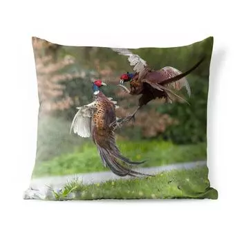 Уличная подушка MuchoWow - Фазаны - Боевые действия - Птицы - 50x50 см - Устойчивость к атмосферным воздействиям - Подушка для отдыха - Чехол на подушку - Хлопчатобумажная ткань - Декоративные наволочки, мультиколор