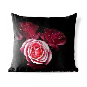 Уличная подушка MuchoWow - Фотография розовых роз на черном фоне - 50x50 см - Устойчивость к атмосферным воздействиям - Подушка для отдыха - Чехол на подушку - Хлопчатобумажная ткань - Декоративные чехлы на подушки, мультиколор