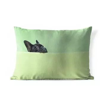 Уличная подушка MuchoWow — Французский бульдог — Зеленый — Черный — 50x30 см — Устойчивость к атмосферным воздействиям — Подушка для отдыха — Чехол на подушку — Хлопчатобумажная ткань — Декоративные наволочки, мультиколор