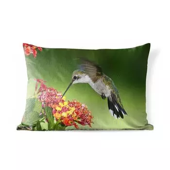 Уличная подушка MuchoWow - Колибри - Цветок - Птица - 60x40 см - Устойчивость к атмосферным воздействиям - Подушка для отдыха - Чехлы для подушек - Декоративные чехлы для подушек - Декоративные чехлы для подушек, мультиколор