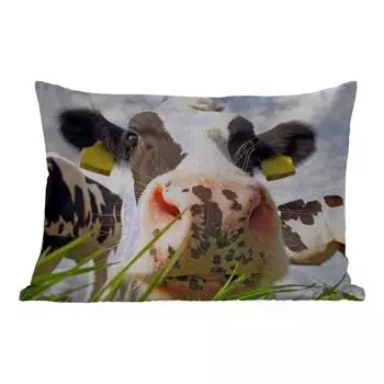 Уличная подушка MuchoWow - Корова - Ферма - Трава - Животные - 50x30 см - Устойчивость к атмосферным воздействиям - Подушка для отдыха - Чехол на подушку - Хлопчатобумажная ткань - Декоративные наволочки, мультиколор