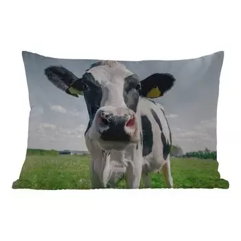 Уличная подушка MuchoWow - Корова - Луг - Природа - Животные - Трава - 60x40 см - Устойчивость к атмосферным воздействиям - Подушка для отдыха - Чехлы для подушек - Декоративные чехлы для подушек - Декоративные чехлы для подушек, мультиколор