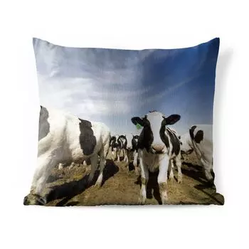 Уличная подушка MuchoWow — Корова — Песок — Животные — 40x40 см — Устойчивость к атмосферным воздействиям — Подушка для отдыха — Чехол на подушку — Хлопчатобумажная ткань — Декоративные наволочки, мультиколор