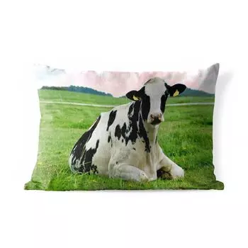 Уличная подушка MuchoWow - Корова - Трава - Животные - Горы - 60x40 см - Устойчивость к атмосферным воздействиям - Подушка для отдыха - Чехлы для подушек - Декоративные чехлы для подушек - Декоративные чехлы для подушек, мультиколор