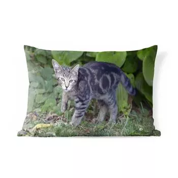 Уличная подушка MuchoWow - Кошка - Домашнее животное - Сад - Девочки - Дети - Дети - Дети - 50x30 см - Устойчивость к атмосферным воздействиям - Подушка для отдыха - Чехол на подушку - Хлопчатобумажная ткань - Декоративные наволочки, мультиколор