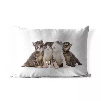 Уличная подушка MuchoWow - Кошка - Домашние животные - Мех - Портрет - 50x30 см - Защита от атмосферных воздействий - Подушка для отдыха - Чехол на подушку - Хлопчатобумажная ткань - Декоративные наволочки, мультиколор