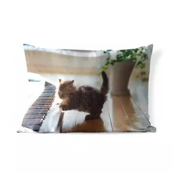 Уличная подушка MuchoWow - Кошка - Животное - Котенок - 60x40 см - Устойчивость к атмосферным воздействиям - Подушка для отдыха - Чехлы для подушек - Декоративные чехлы для подушек - Декоративные чехлы для подушек, мультиколор