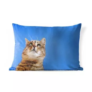 Уличная подушка MuchoWow — Кот — Коричневый — Воздух — Девочки — Мальчики — Дети — 50x30 см — Устойчивость к атмосферным воздействиям — Подушка для отдыха — Чехол на подушку — Хлопчатобумажная ткань — Декоративные наволочки, мультиколор