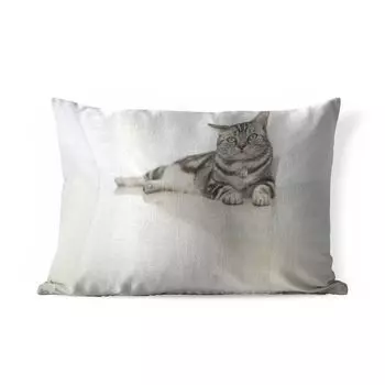 Уличная подушка MuchoWow — Кот — Серый — Животные — Девочки — Дети — Мальчики — Дети — 50x30 см — Всепогодные — Подушка для отдыха — Чехлы на подушки — Хлопчатобумажная ткань — Декоративные наволочки, мультиколор