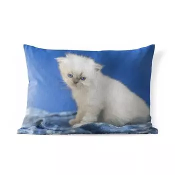 Уличная подушка MuchoWow - Котенок - Платье - Синий - Девочки - Мальчики - Дети - 60x40 см - Устойчивость к атмосферным воздействиям - Подушки для отдыха - Чехлы для подушек - Декоративные чехлы для подушек - Декоративные чехлы для подушек, муль...