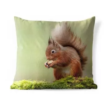 Уличная подушка MuchoWow — Красная белка — 50x50 см — Устойчивость к атмосферным воздействиям — Подушка для отдыха — Чехол на подушку — Хлопчатобумажная ткань — Декоративные чехлы на подушки, мультиколор