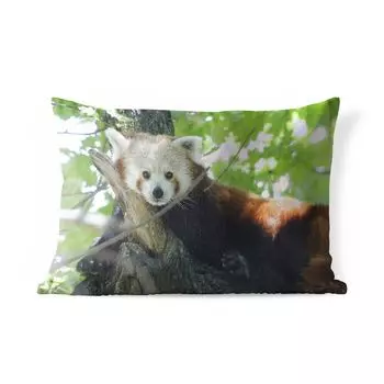 Уличная подушка MuchoWow - Красная панда - Дерево - Зеленый - 60x40 см - Устойчивость к атмосферным воздействиям - Подушка для отдыха - Чехлы для подушек - Декоративные чехлы для подушек - Декоративные чехлы для подушек, мультиколор