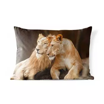Уличная подушка MuchoWow - Львы - Коричневый - Животные - 60x40 см - Устойчивость к атмосферным воздействиям - Подушки для отдыха - Чехлы для подушек - Декоративные чехлы для подушек - Декоративные чехлы для подушек, мультиколор