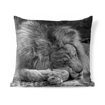 Уличная подушка MuchoWow - Лев - Африка - Черный - 60x60 см - Устойчивость к атмосферным воздействиям - Подушка для отдыха - Чехлы для подушек - Декоративные чехлы для подушек - Декоративные чехлы для подушек, мультиколор