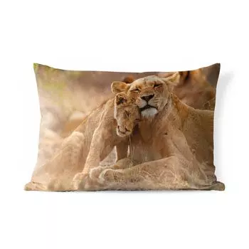 Уличная подушка MuchoWow - Лев - Дикие животные - Детеныш - 60x40 см - Устойчивость к атмосферным воздействиям - Подушка для отдыха - Чехлы для подушек - Декоративные чехлы для подушек - Декоративные чехлы для подушек, мультиколор