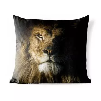 Уличная подушка MuchoWow - Лев - Животное - Черный - 60x60 см - Устойчивость к атмосферным воздействиям - Подушка для отдыха - Чехлы для подушек - Декоративные чехлы для подушек - Декоративные чехлы для подушек, мультиколор