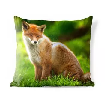 Уличная подушка MuchoWow - Лиса - Легкая - Трава - 60x60 см - Устойчивость к атмосферным воздействиям - Подушка для отдыха - Чехлы для подушек - Декоративные чехлы для подушек - Декоративные чехлы для подушек, мультиколор