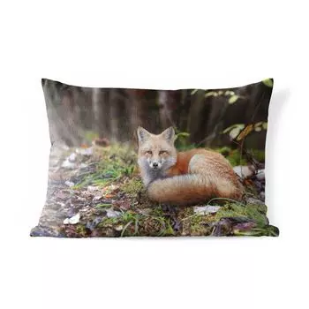 Уличная подушка MuchoWow - Лиса - Лес - Животное - 60x40 см - Устойчивость к атмосферным воздействиям - Подушка для отдыха - Чехлы для подушек - Декоративные чехлы для подушек - Декоративные чехлы для подушек, мультиколор