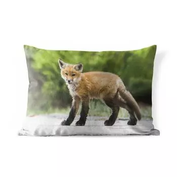 Уличная подушка MuchoWow - Лиса - Щенок - Улица - 60x40 см - Защита от атмосферных воздействий - Подушка для отдыха - Чехлы для подушек - Декоративные чехлы для подушек - Декоративные чехлы для подушек, мультиколор