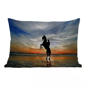 Уличная подушка MuchoWow - Лошадь - Небо - Тень - 50x30 см - Устойчивость к атмосферным воздействиям - Подушка для отдыха - Чехол на подушку - Хлопчатобумажная ткань - Декоративные чехлы на подушки, мультиколор