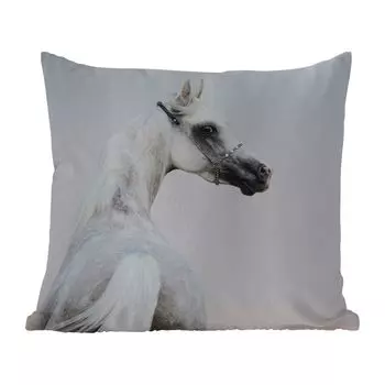 Уличная подушка MuchoWow — Лошадь — Песок — Пастель — 50x50 см — Устойчивость к атмосферным воздействиям — Подушка для отдыха — Чехол на подушку — Хлопчатобумажная ткань — Декоративные чехлы на подушки, мультиколор