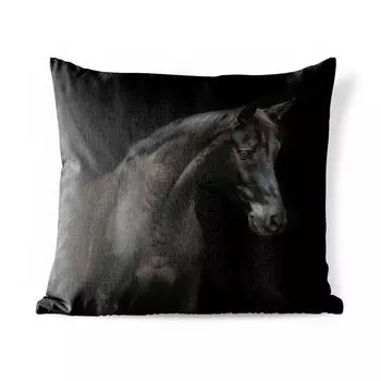 Уличная подушка MuchoWow - Лошадь - Животное - Черный - 45x45 см - Устойчивость к атмосферным воздействиям - Подушка для отдыха - Чехлы для подушек - Декоративные чехлы для подушек - Декоративные чехлы для подушек, мультиколор