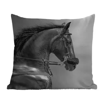 Уличная подушка MuchoWow - Лошади - Черный - Портрет - Животные - 45x45 см - Устойчивость к атмосферным воздействиям - Подушки для отдыха - Чехлы для подушек - Декоративные чехлы для подушек - Декоративные чехлы для подушек, мультиколор