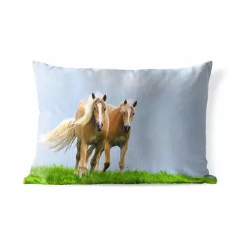 Уличная подушка MuchoWow - Лошади - Трава - Воздух - 60x40 см - Устойчивость к атмосферным воздействиям - Подушки для отдыха - Чехлы для подушек - Декоративные чехлы для подушек - Декоративные чехлы для подушек, мультиколор
