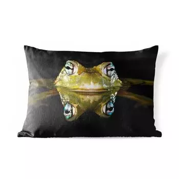 Уличная подушка MuchoWow - Лягушка - Глаза - Портрет - 50x30 см - Устойчивость к атмосферным воздействиям - Подушка для отдыха - Чехол на подушку - Хлопчатобумажная ткань - Декоративные наволочки, мультиколор