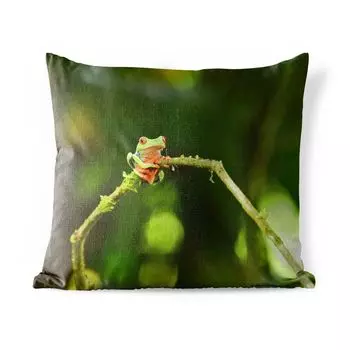 Уличная подушка MuchoWow - Лягушка - Ветки - Зеленый - 40x40 см - Устойчивость к атмосферным воздействиям - Подушка для отдыха - Чехол на подушку - Хлопчатобумажная ткань - Декоративные чехлы на подушки, мультиколор