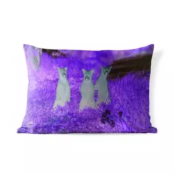 Уличная подушка MuchoWow - Медведи - Цветы - Трава - Семья - 60x40 см - Устойчивость к атмосферным воздействиям - Подушки для отдыха - Чехлы для подушек - Декоративные чехлы для подушек - Декоративные чехлы для подушек, мультиколор