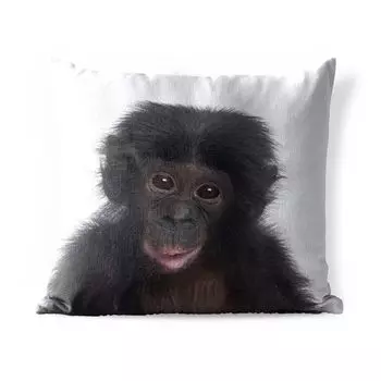 Уличная подушка MuchoWow - Обезьяна - Шимпанзе - Портрет - Дети - Мальчики - Девочки - 50x50 см - Устойчивость к атмосферным воздействиям - Подушка для отдыха - Чехол на подушку - Хлопчатобумажная ткань - Декоративные наволочки, мультиколор