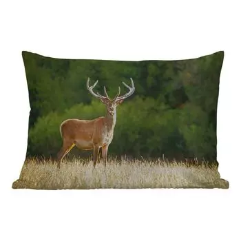 Уличная подушка MuchoWow - Олень - Рога - Трава - Природа - Животные - Зеленый - 50x30 см - Устойчивость к атмосферным воздействиям - Подушка для отдыха - Чехол на подушку - Хлопчатобумажная ткань - Декоративные наволочки, мультиколор