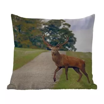 Уличная подушка MuchoWow - Олень - Зеленый - Трава - 45x45 см - Устойчивость к атмосферным воздействиям - Подушка для отдыха - Чехлы для подушек - Декоративные чехлы для подушек - Декоративные чехлы для подушек, мультиколор