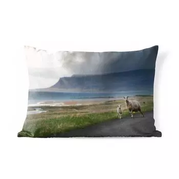 Уличная подушка MuchoWow - Овца - Ягненок - Шторм - 60x40 см - Устойчивость к атмосферным воздействиям - Подушка для отдыха - Чехлы для подушек - Декоративные чехлы для подушек - Декоративные чехлы для подушек, мультиколор