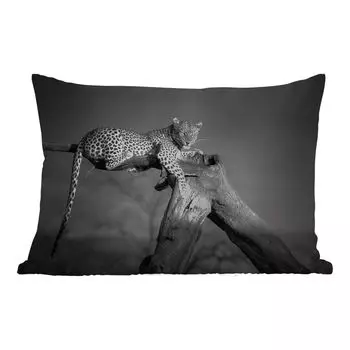 Уличная подушка MuchoWow - Пантера - Дерево - Животные - Черный - Белый - 50x30 см - Устойчивость к атмосферным воздействиям - Подушка для отдыха - Чехол на подушку - Хлопчатобумажная ткань - Декоративные наволочки, мультиколор