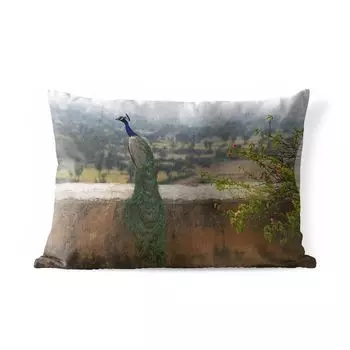 Уличная подушка MuchoWow - Павлин - Настенная - Натуральная - 60x40 см - Защита от атмосферных воздействий - Подушка для отдыха - Чехлы для подушек - Декоративные чехлы для подушек - Декоративные чехлы для подушек, мультиколор