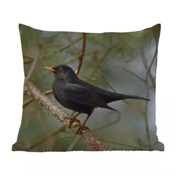 Уличная подушка MuchoWow - Птица - Черный дрозд - Ветки - Животные - 45x45 см - Устойчивость к атмосферным воздействиям - Подушка для отдыха - Чехлы для подушек - Декоративные чехлы для подушек - Декоративные чехлы для подушек, мультиколор