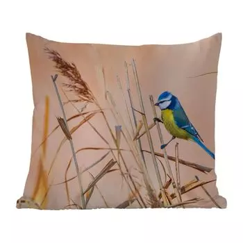 Уличная подушка MuchoWow - Птица - Лазоревка - Тростник - 60x60 см - Устойчивость к атмосферным воздействиям - Подушка для отдыха - Чехлы на подушки - Декоративные чехлы на подушки - Декоративные чехлы на подушки, мультиколор