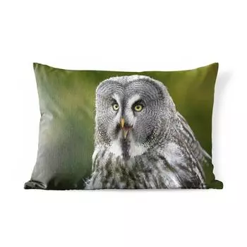 Уличная подушка MuchoWow - Птица - Сова - Серый - 60x40 см - Устойчивость к атмосферным воздействиям - Подушка для отдыха - Чехлы для подушек - Декоративные чехлы для подушек - Декоративные чехлы для подушек, мультиколор