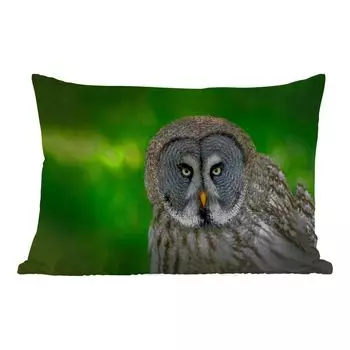 Уличная подушка MuchoWow - Птица - Сова - Животные - Коричневый - Портрет - 60x40 см - Устойчивость к атмосферным воздействиям - Подушка для отдыха - Чехлы для подушек - Декоративные чехлы для подушек - Декоративные чехлы для подушек, мультиколо...