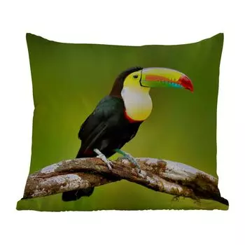 Уличная подушка MuchoWow - Птица - Тукан - Радуга - Зеленый - Ветка - 50x50 см - Устойчивость к атмосферным воздействиям - Подушка для отдыха - Чехол на подушку - Хлопчатобумажная ткань - Декоративные наволочки, мультиколор