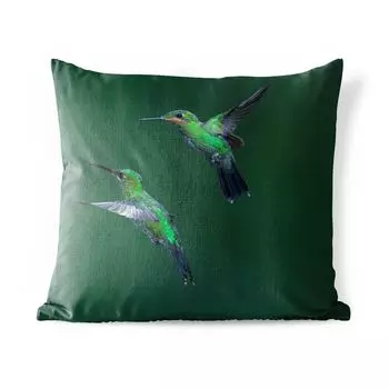 Уличная подушка MuchoWow - Птицы - Колибри - Зеленый - 45x45 см - Устойчивость к атмосферным воздействиям - Подушка для отдыха - Чехлы для подушек - Декоративные чехлы для подушек - Декоративные чехлы для подушек, мультиколор