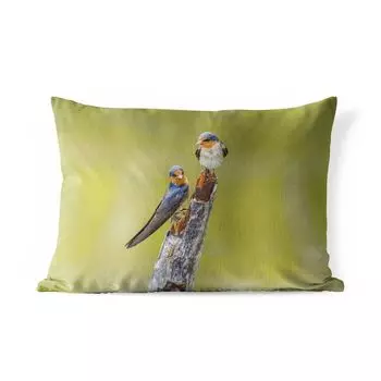 Уличная подушка MuchoWow - Птицы - Ветка - Портрет - 50x30 см - Устойчивость к атмосферным воздействиям - Подушка для отдыха - Чехол на подушку - Хлопчатобумажная ткань - Декоративные наволочки