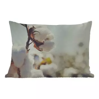 Уличная подушка MuchoWow - Растения - Цветок - Ветка - Природа - 60x40 см - Устойчивость к атмосферным воздействиям - Подушка для отдыха - Чехлы для подушек - Декоративные чехлы для подушек - Декоративные чехлы для подушек, мультиколор