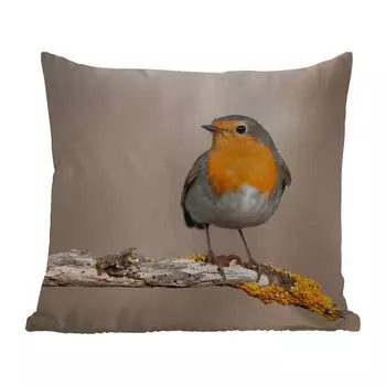 Уличная подушка MuchoWow - Робин - Птица - Ветка - Животные - 45x45 см - Устойчивость к атмосферным воздействиям - Подушка для отдыха - Чехлы для подушек - Декоративные чехлы для подушек - Декоративные чехлы для подушек, мультиколор