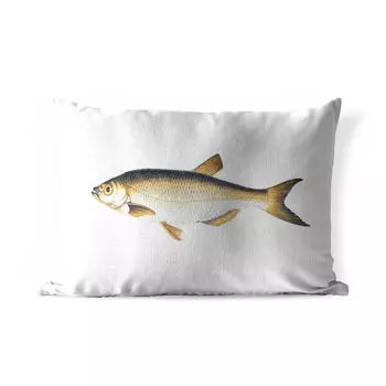Уличная подушка MuchoWow — Рыба — Плотва — Реализм — 50x30 см — Устойчивость к атмосферным воздействиям — Подушка для отдыха — Чехол на подушку — Хлопчатобумажная ткань — Декоративные наволочки, мультиколор