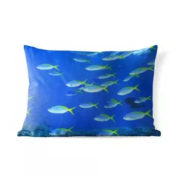 Уличная подушка MuchoWow - Рыба - Школа - Море - 50x30 см - Устойчивость к атмосферным воздействиям - Подушка для отдыха - Чехол на подушку - Хлопчатобумажная ткань - Декоративные наволочки, мультиколор