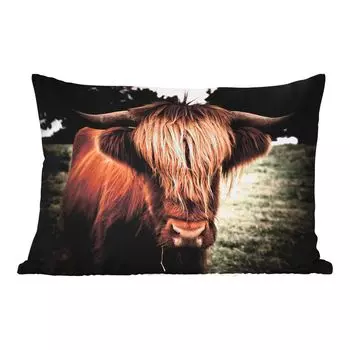 Уличная подушка MuchoWow - Шотландский горец - Дерево - Трава - 50x30 см - Устойчивость к атмосферным воздействиям - Подушка для отдыха - Чехол на подушку - Хлопчатобумажная ткань - Декоративные наволочки, мультиколор