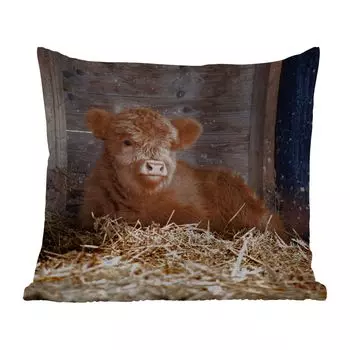 Уличная подушка MuchoWow - Шотландский горец - Ферма - Солома - 40x40 см - Устойчивость к атмосферным воздействиям - Подушка для отдыха - Чехол на подушку - Хлопчатобумажная ткань - Декоративные наволочки, мультиколор